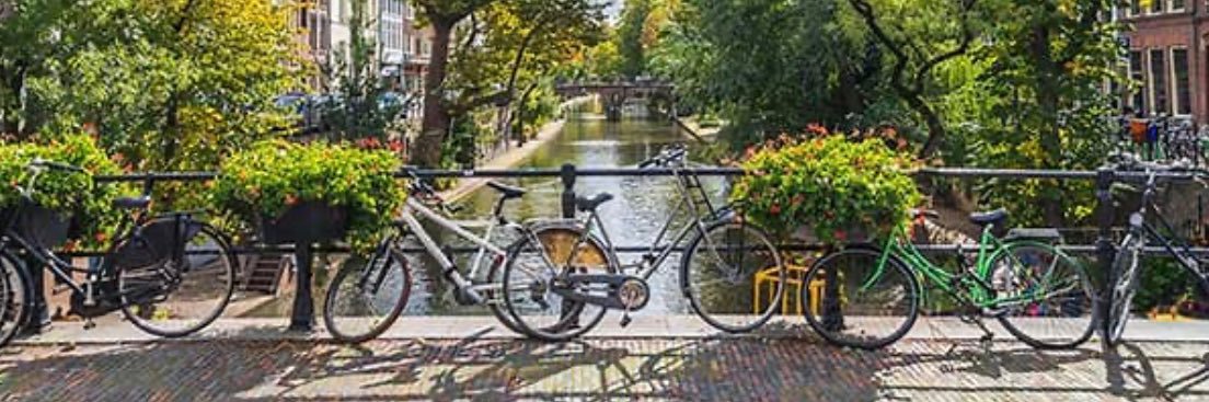 Rosalind 💰 banner