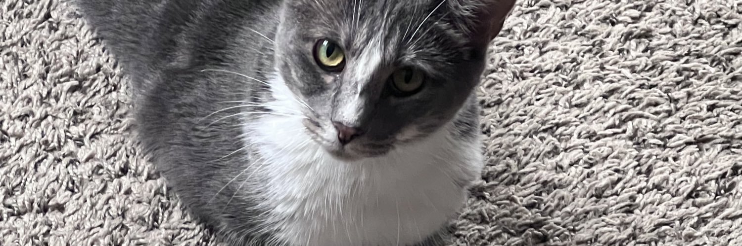 granny_anthony's profile banner image
