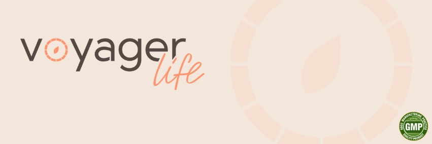 Voyager Life banner