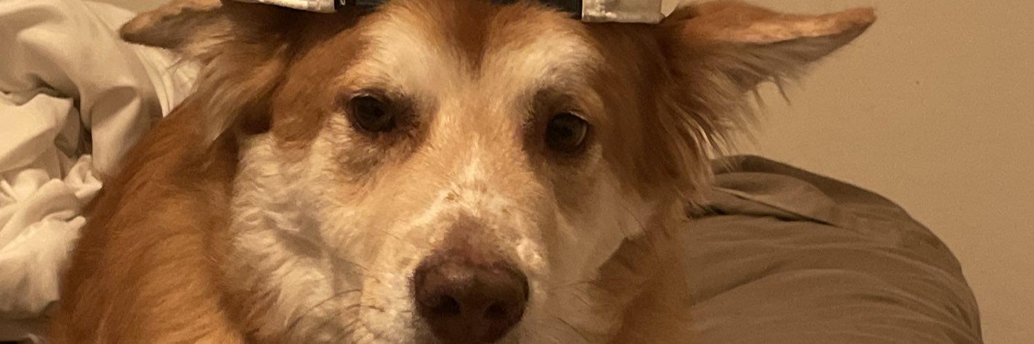 LilSnida's profile banner image