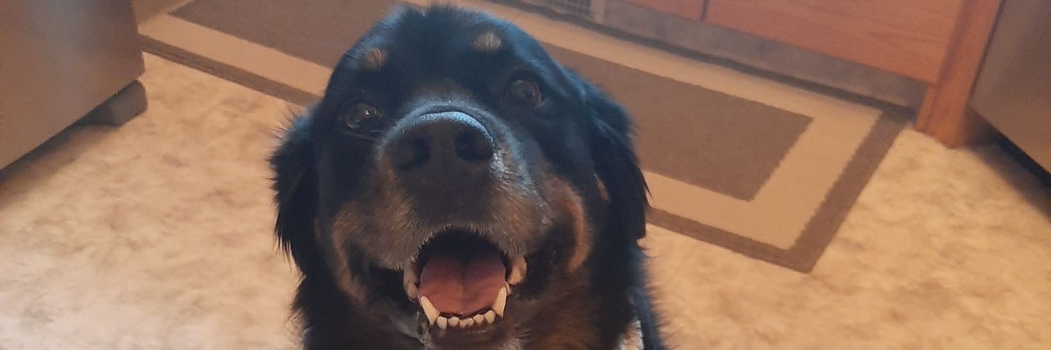 meags397's profile banner image