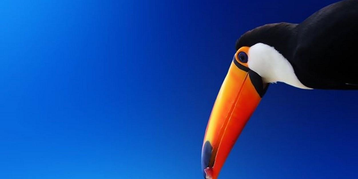 DaniCapicciotti's profile banner image