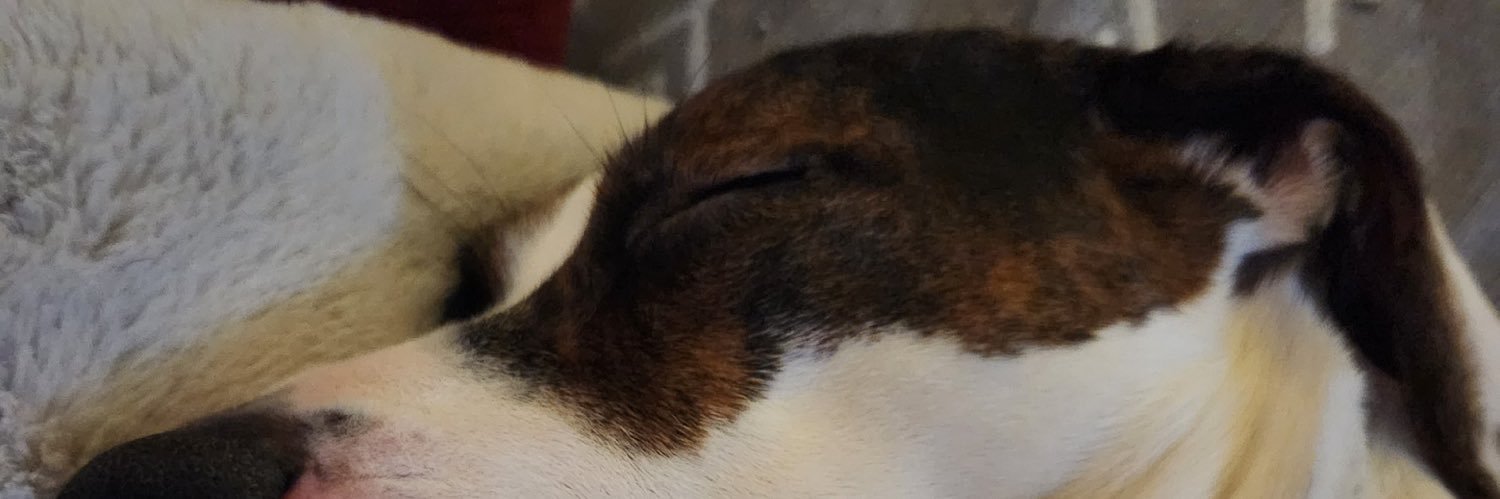 jadeandafraid's profile banner image