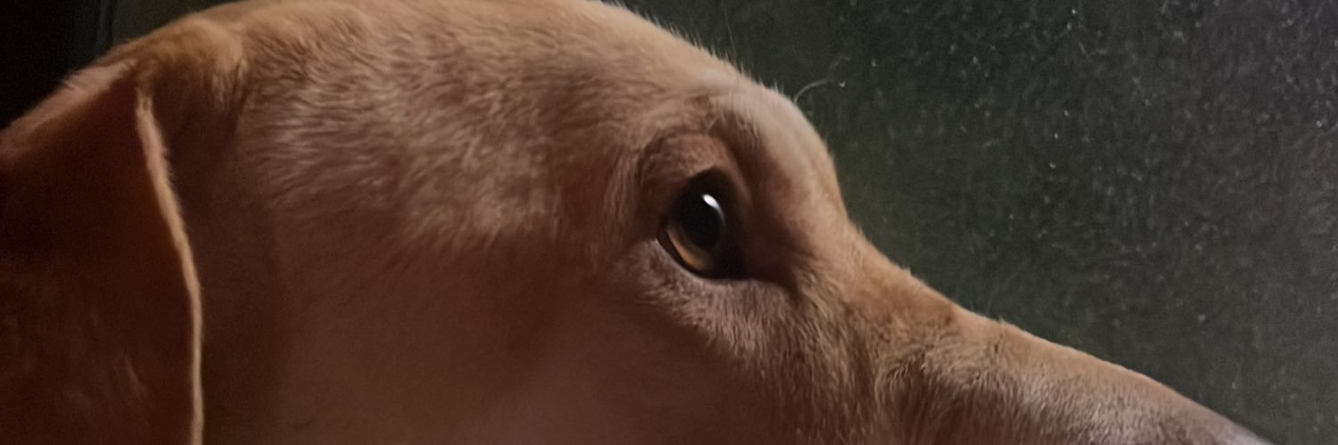 veebah1's profile banner image