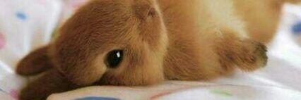 penpen_tom's profile banner image