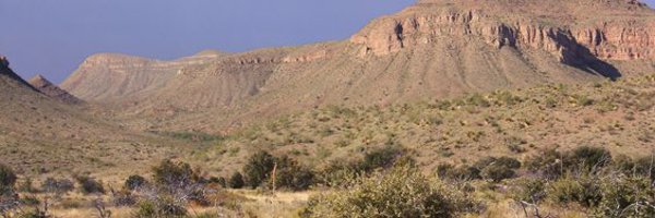 XlPETOTEC Profile Banner