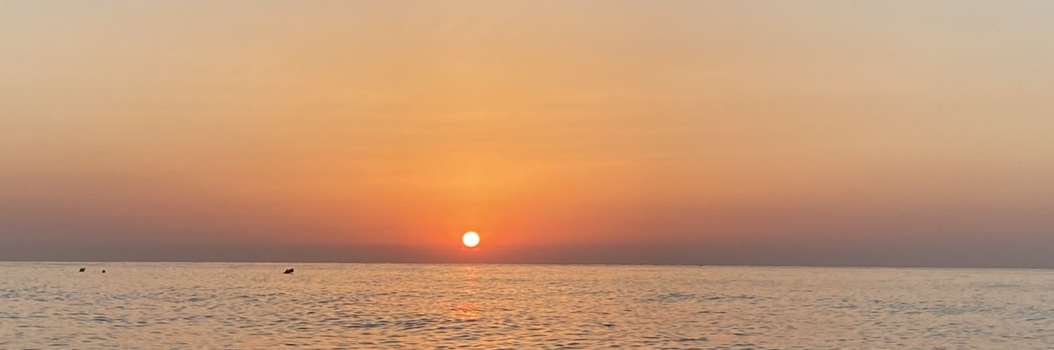 alba codoñer banner