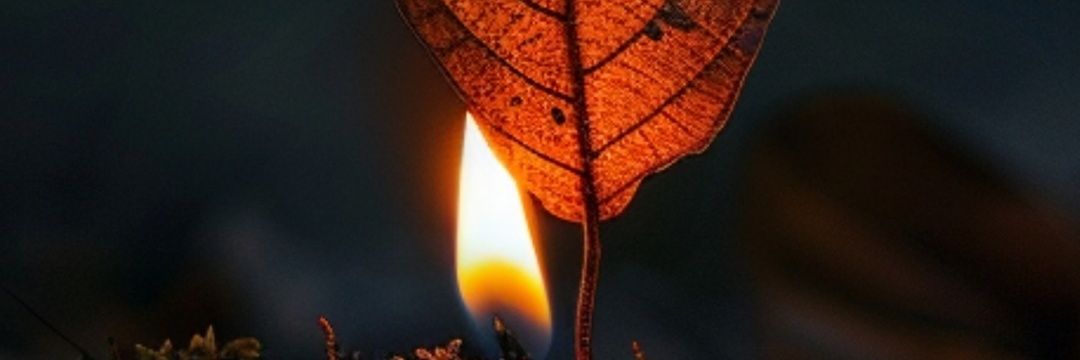 ✿ نزار ✿ اكتب لأتنفس banner