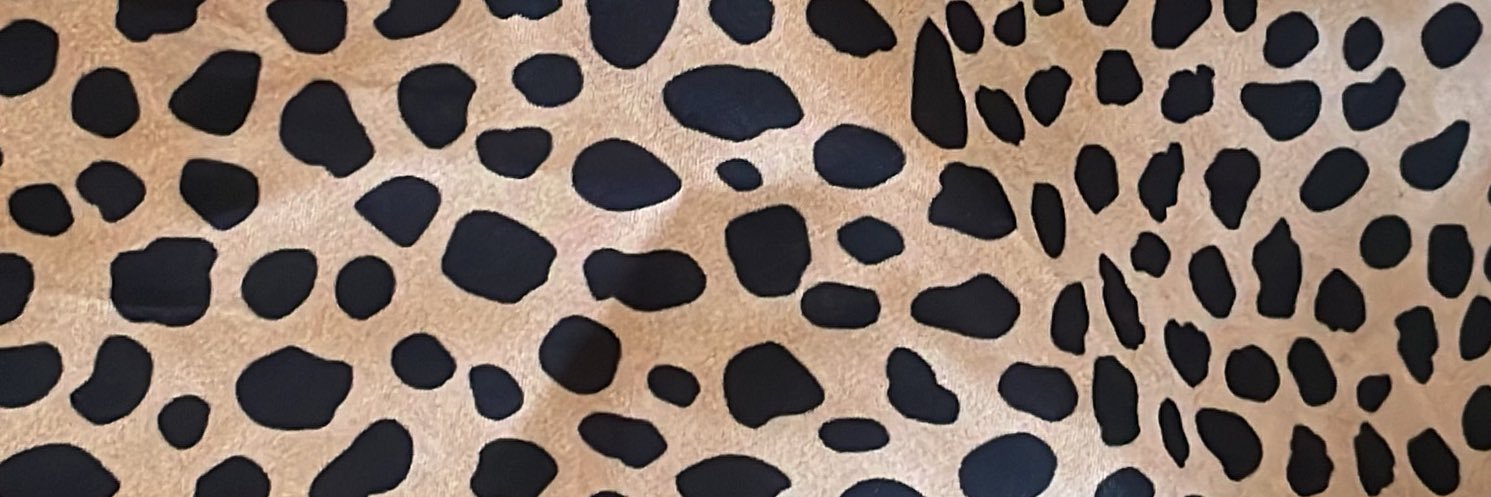 TracyleeDB's profile banner image