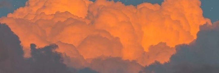 LavishSweetee's profile banner image