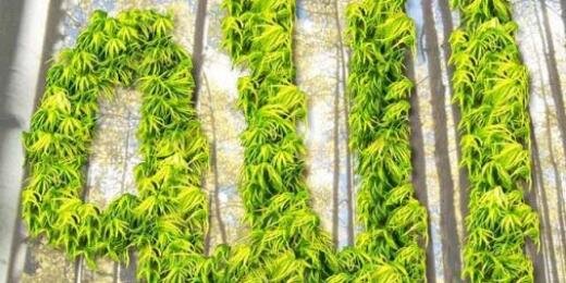 Islam Itu Indah 2 banner