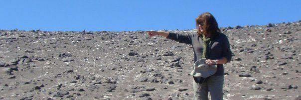 Gerda_AL's profile banner image