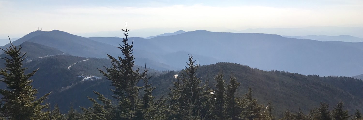 mebiebs21's profile banner image