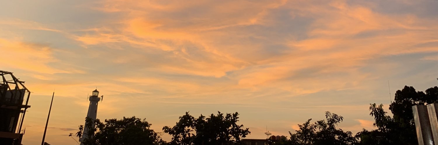 S banner