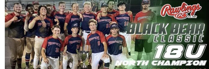 Baseball Prospects Georgia banner