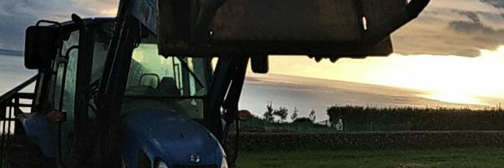 DinisMendes13's profile banner image