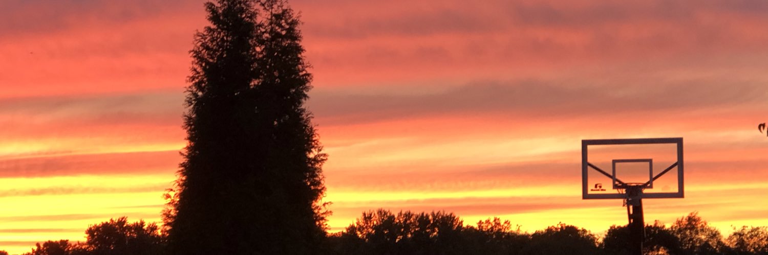 Andrea Patton banner