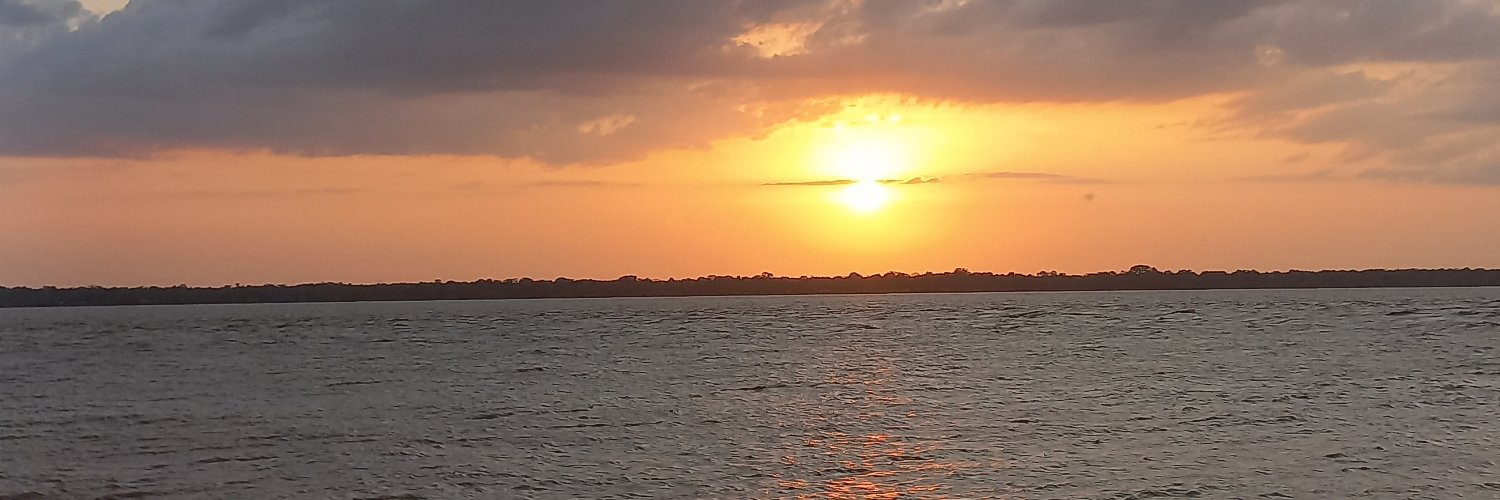 pat_msouza's profile banner image