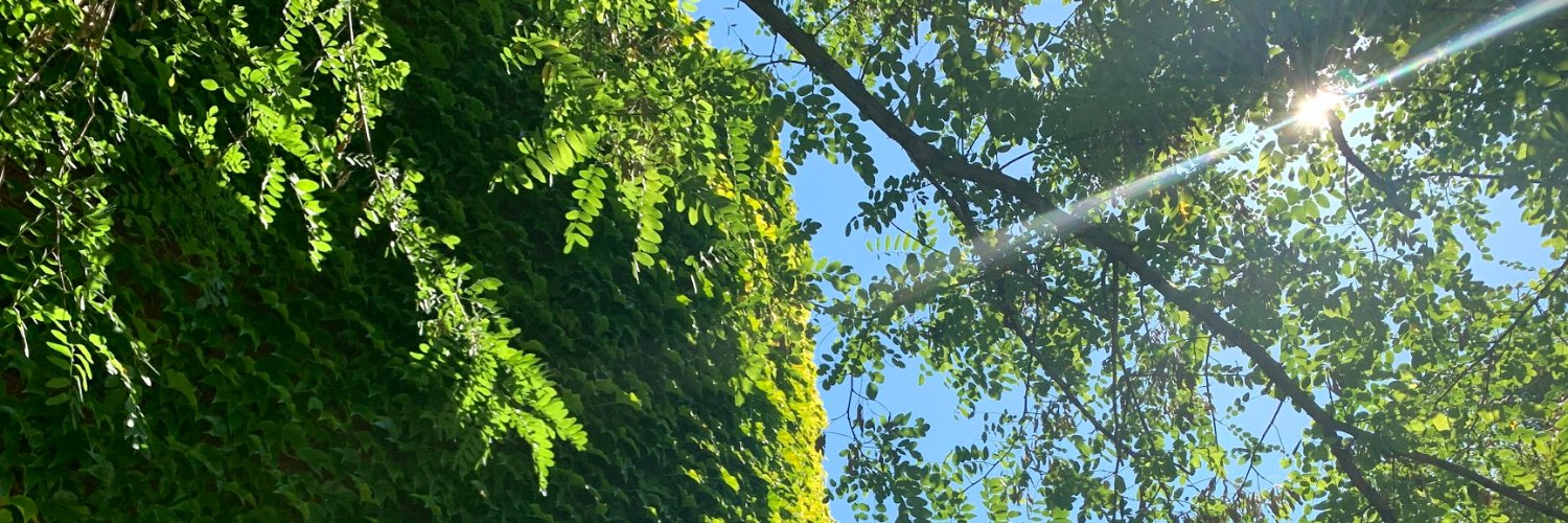 Basilica Bio. banner