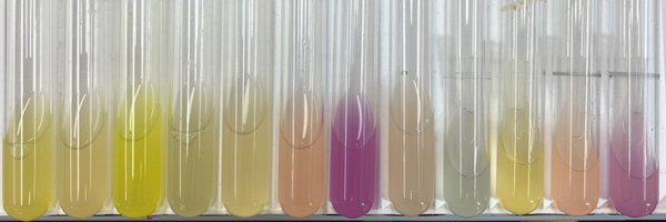 _ZhenzhenZhao Profile Banner