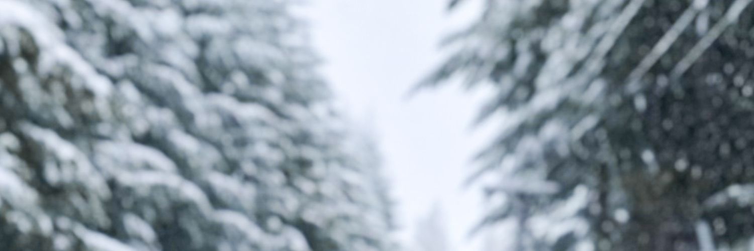Átila Leal banner