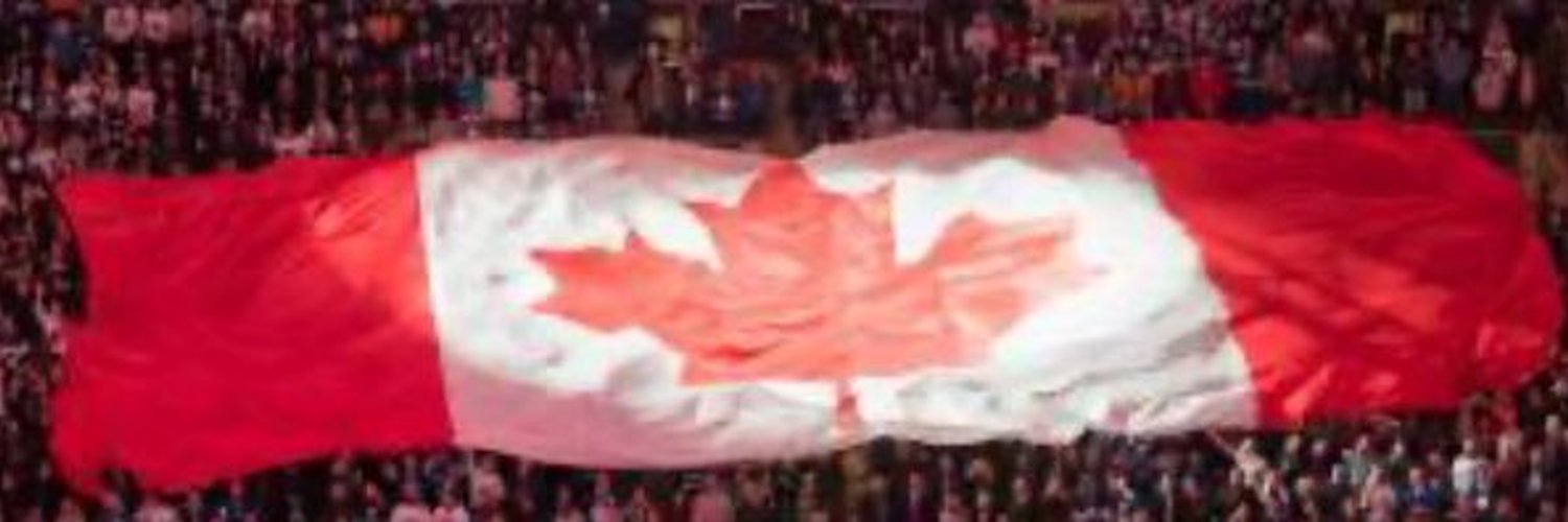 Caledongal's profile banner image