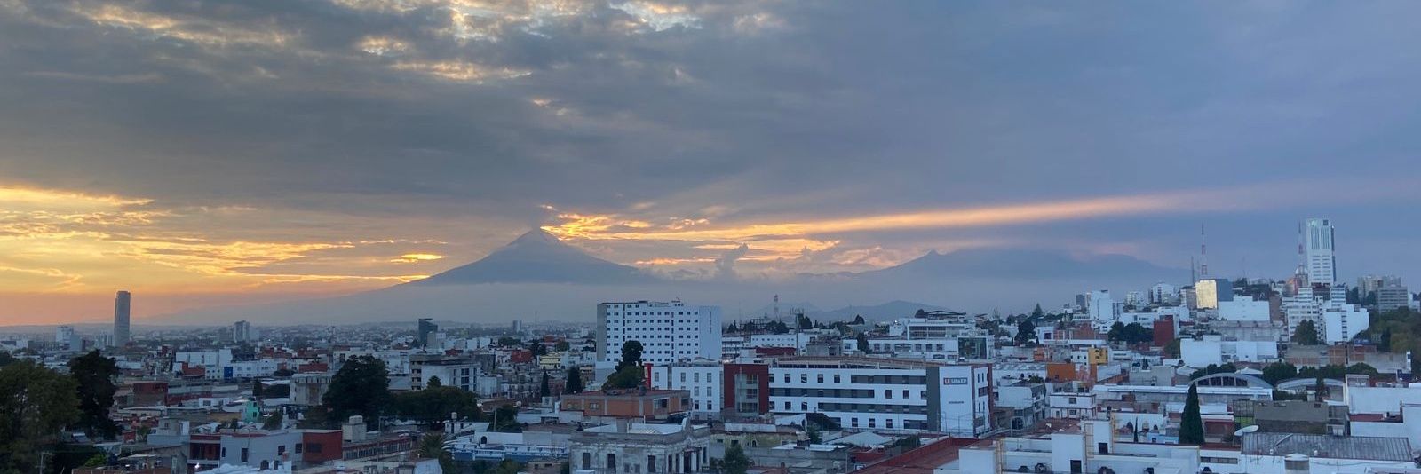 Daniela Hernandez banner