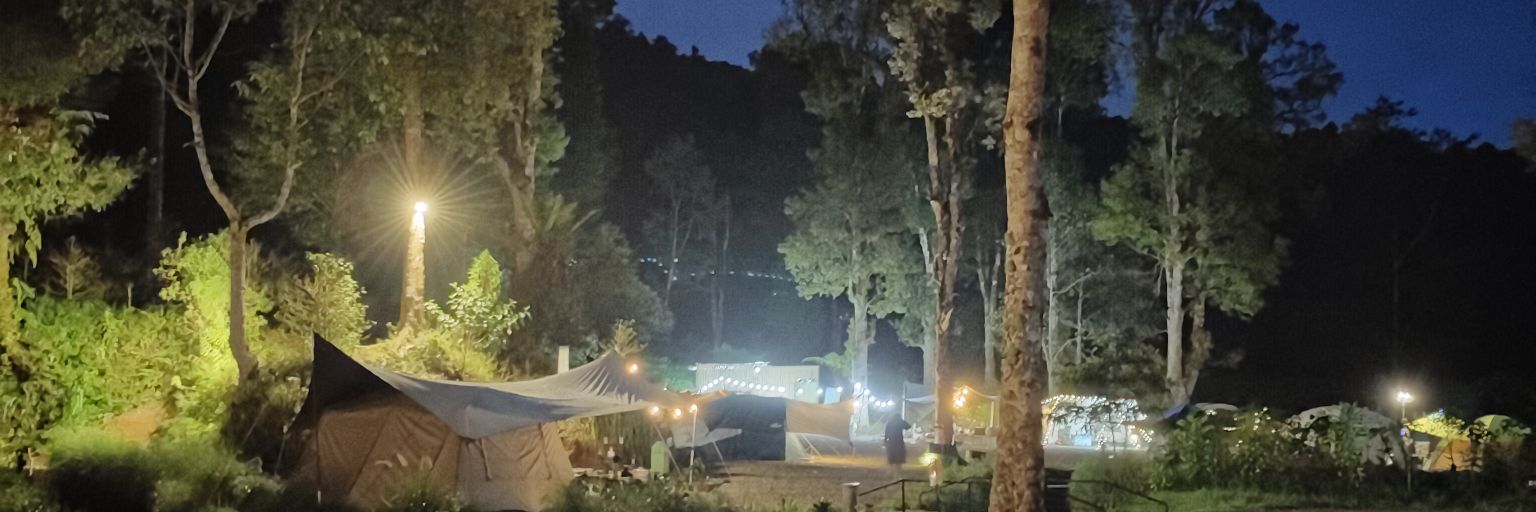 justNuri 🇵🇸 banner