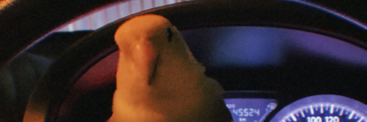 amyvee__'s profile banner image
