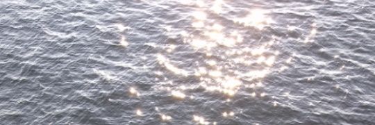 erdewgenc's profile banner image