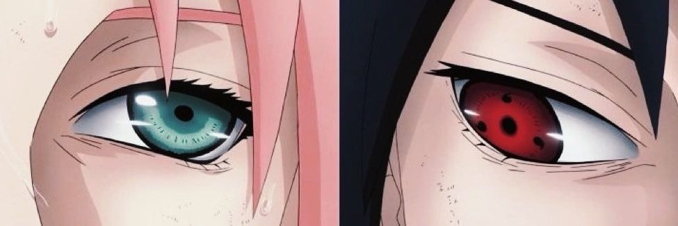 🍒 banner
