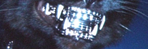 the 🧑‍🏫 banner