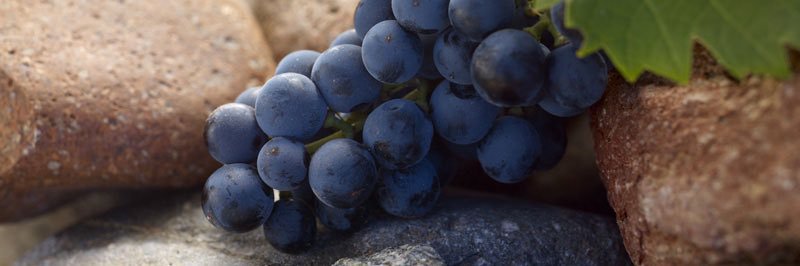 VersadoWine's profile banner image