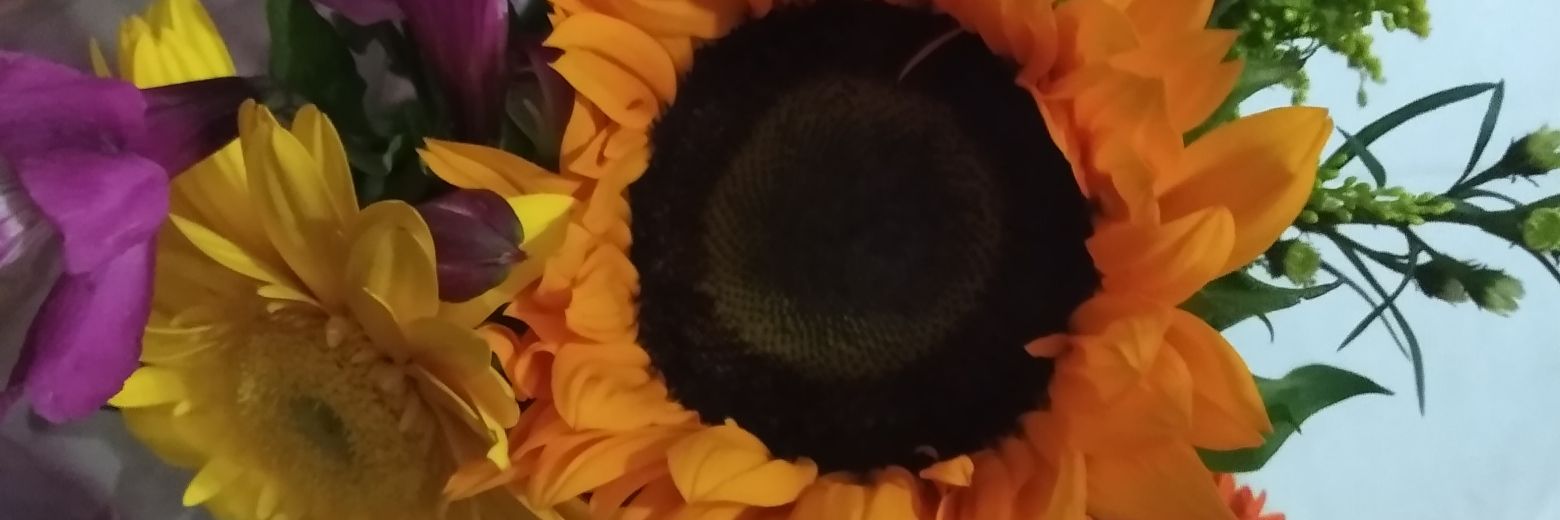ConAmorMarin's profile banner image
