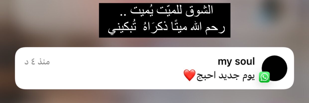 ربما بشائر 🌱 banner