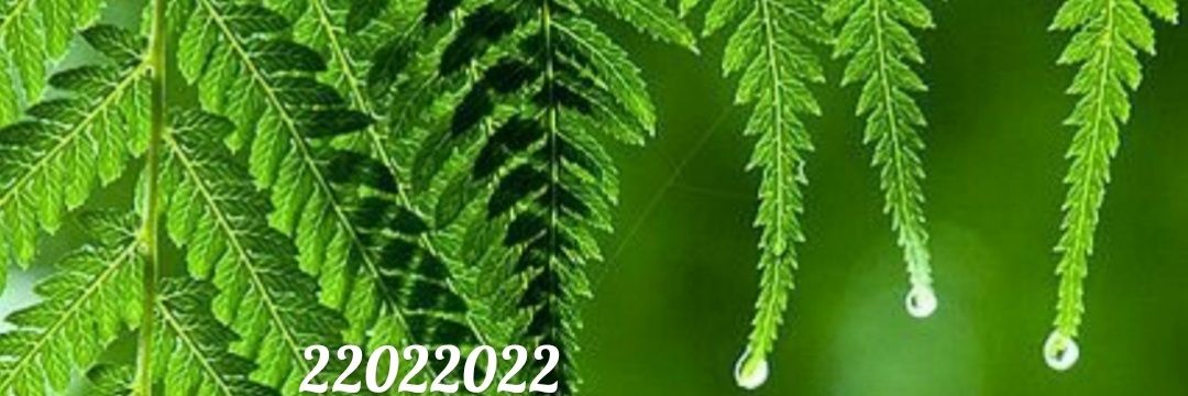 Music Aiu ⚖️ banner