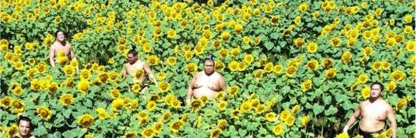 MBabrr Profile Banner