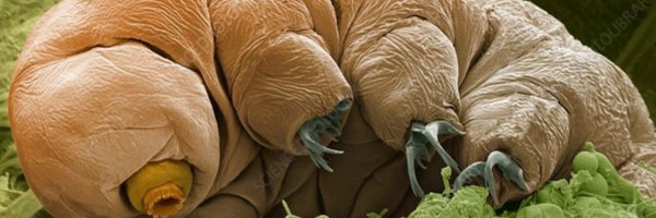 TardigradeVoice Profile Banner
