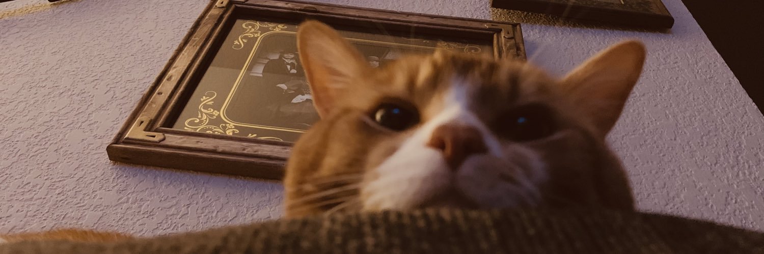janelybeano's profile banner image