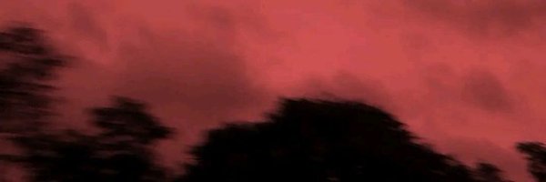gibborll Profile Banner