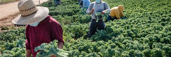 UCMercedCLC Profile Banner