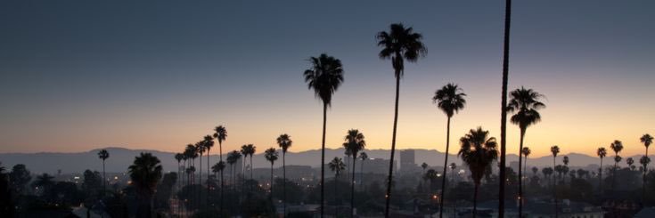 WMartin56's profile banner image