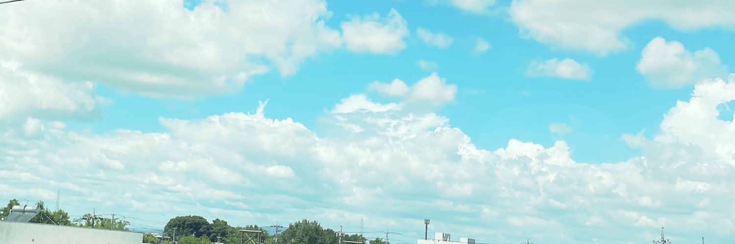 Lily 🕊 banner