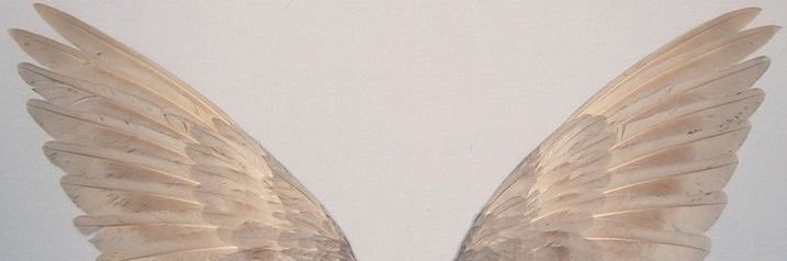 ac9i9's profile banner image