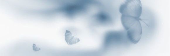 ninn banner