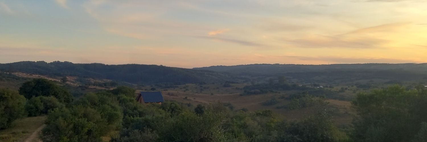 Constanza Narancio banner