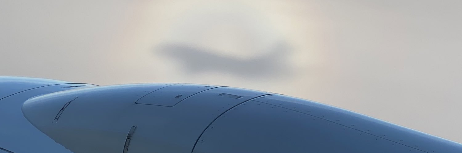 prettycat6's profile banner image