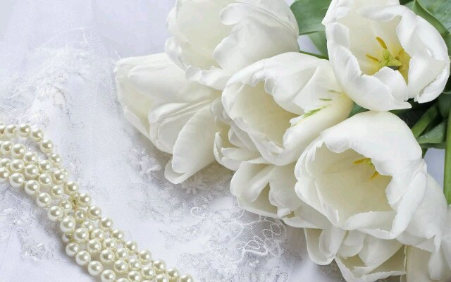 silviakocan's profile banner image