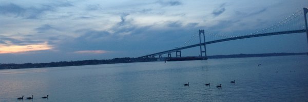 ProfCheit Profile Banner