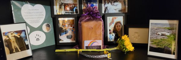 LocalVegetaHoe Profile Banner